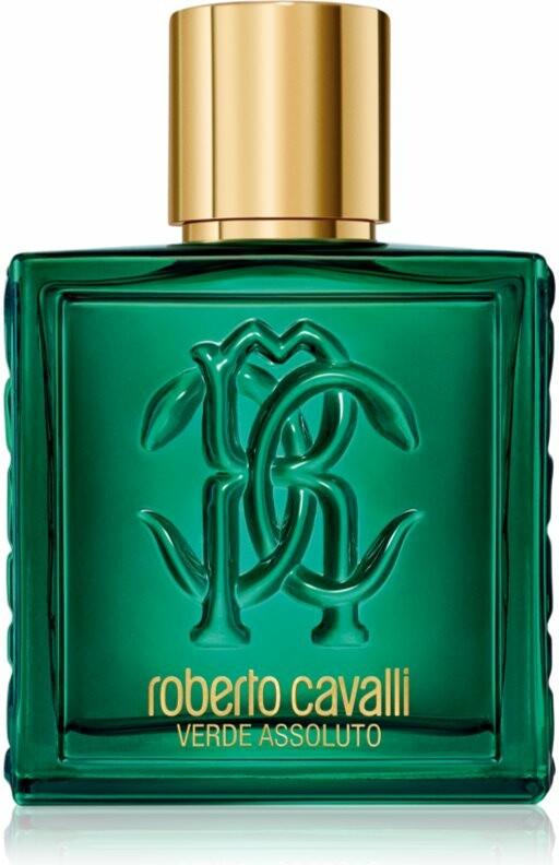 Roberto Cavalli Uomo Verde Assoluto parfémovaná voda pánská 100 ml