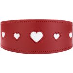 Hunter LOVE chrtí obojek – Zbozi.Blesk.cz