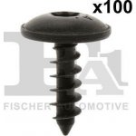 Šroub FA1 11-70002.100