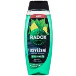 Radox Refreshment Menthol And Citrus 3-in-1 Shower Gel 450 ml – Hledejceny.cz