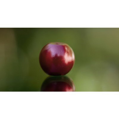 Redbass Kulatý skleněný korálek 6 mm Vínová, 5 ks – Zboží Dáma