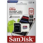 SanDisk microSDXC 256 GB UHS-I U1 173399 – Hledejceny.cz