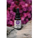 Ecopets Dog&Cat LESNÍ KAPKA-Sérum proti klíšťatům 30 ml – Zboží Dáma