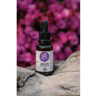 Ecopets Dog&Cat LESNÍ KAPKA-Sérum proti klíšťatům 30 ml – Zboží Dáma