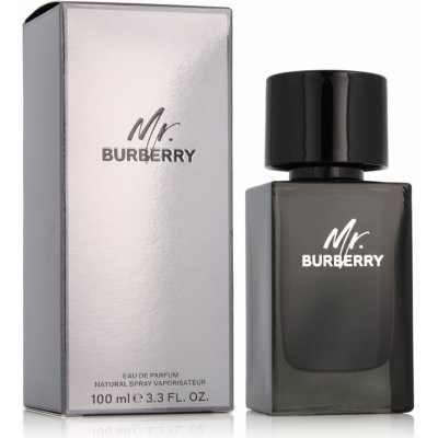 Burberry Mr. Burberry parfémovaná voda pánská 100 ml – Zboží Mobilmania