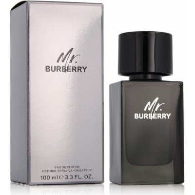 burberry mr burberry toaletni voda 100 ml – Heureka.cz