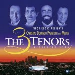 MEHTA/CARRERAS/PAVAROTTI/DOMIN 3 TENORS WITH MEHTA IN CONC.94 – Hledejceny.cz