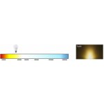 Berge LED žárovka MR11 3W 12V 250Lm teplá bílá – Zboží Živě