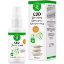 Zelená země CBD ústní sprej s 250 mg CBD a koloidním stříbrem 50 ml