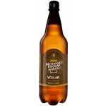 Kojetínský Včelař 11° 1 l (Pet) – Zboží Dáma