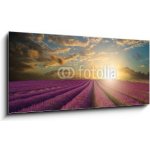 Skleněný obraz 1D panorama - 120 x 50 cm - Vibrant Summer sunset over lavender field landscape Vibrantní letní západ slunce nad levandule krajiny – Hledejceny.cz