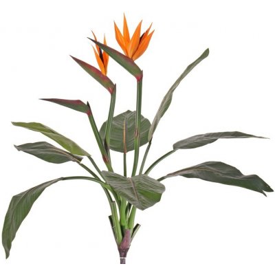 Umělá květina Strelitzia luxe - 2 květy, 70cm – Zboží Mobilmania