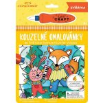 Concorde Zvířátká kouzelné omalovánky – Zboží Dáma