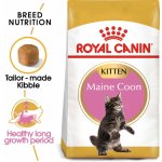 Royal Canin Maine Coon granule pro koťata 10 kg – Zboží Mobilmania