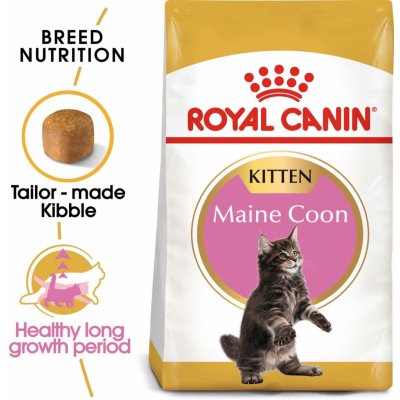 Royal Canin Maine Coon granule pro koťata 10 kg