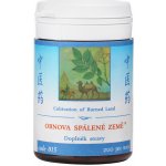TCM Bohemia 015 Obnova spálené země 200 kuliček – Hledejceny.cz