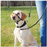 Trixie Ohlávka proti táhnutí Top Trainer L 31 cm – Zbozi.Blesk.cz