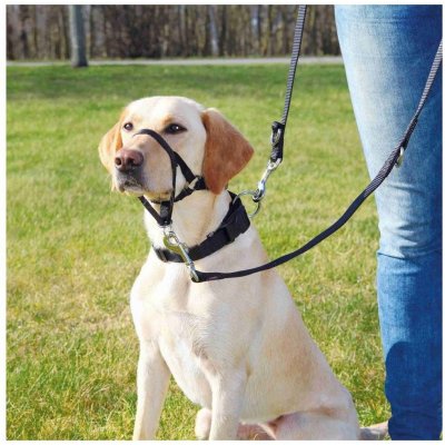 Trixie Ohlávka proti táhnutí Top Trainer L 31 cm – Zbozi.Blesk.cz