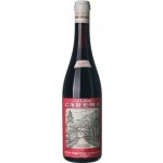 Produttori Nebbiolo di Carema Carema suché červené 1967 0,75 l (holá láhev) – Hledejceny.cz