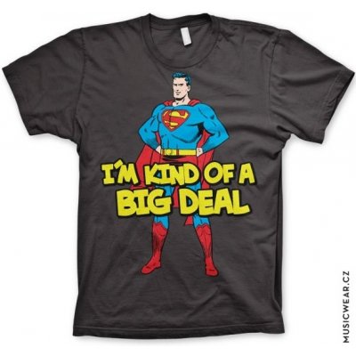 Superman I´m Kind Of A Big Deal