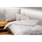 Brotex Zimní set Luxus Plus Unico zip 140x200 1300g 70x90 900g – Zbozi.Blesk.cz