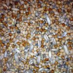 Avest Směs Andulka 04 20 kg – Zboží Dáma