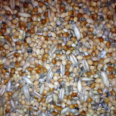 Avest Směs Andulka 04 20 kg – Zboží Dáma