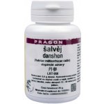 Pragon Šalvěj červenokořenná Danshen prášek 20 g – Hledejceny.cz