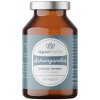 Doplněk stravy na imunitu GreenFood Ashwagandha Extract 90 kapslí