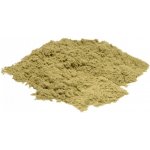 Salvia Paradise Přeslička rolní nať mletá 100 g – Hledejceny.cz