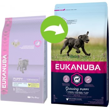 Eukanuba Puppy Large Breed kuřecí 2 x 15 kg