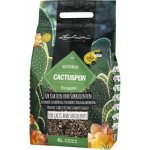 Lechuza Cactuspon substrát pro kaktusy a sukulenty 6 l – Hledejceny.cz