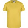 Pánské Tričko James Nicholson pánské tričko Basic 150 JN797 Žlutá