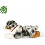 Eco Friendly australský ovčák ležící 61 cm – Sleviste.cz