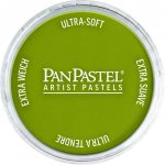 PanPastel suchý pastel 680.3 bright yellow green shade – Hledejceny.cz