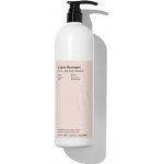 Back Bar Color Shampoo 01 Fig and Almon 1000 ml – Hledejceny.cz