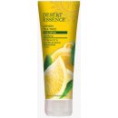 Desert Essence šampon pro mastné vlasy lemon tea tree 236 ml