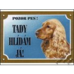 Dafiko Tabulka Anglický kokr zlatý – Hledejceny.cz