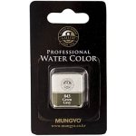 Mungyo Akvarelová barva green grey 843 – Sleviste.cz