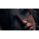 Rise of the Tomb Raider (20 Year Celebration Edition) – Zboží Živě