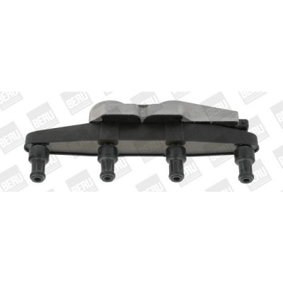 Zapalovací cívka BorgWarner (BERU) ZSE039 – Hledejceny.cz