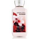 Bath & Body Works tělové mléko Japanese Cherry Blossom 236 ml