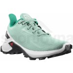 Salomon Alphacross Blast J L41621500 yucca/white/black – Zbozi.Blesk.cz