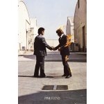Plakát 61x91,5cm - Pink Floyd - Wish You Were – Zboží Mobilmania