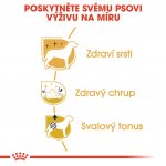 Royal Canin Poodle Adult 7,5 kg – Sleviste.cz