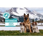 DOGPOINT Charitativní kalendář 2025 stolní Dogpoint – Zbozi.Blesk.cz