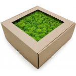 mech-mech.cz Sobí mech Finský čištěný premium - světle zelený - 500g – Zboží Dáma