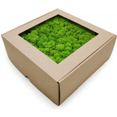 mech-mech.cz Sobí mech Finský čištěný premium - světle zelený - 500g – Zboží Dáma