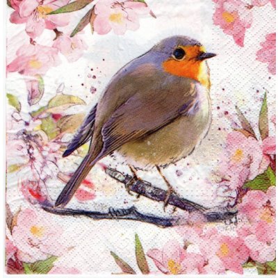 Ubrousek 33x33 cm AKVAREL PTÁČEK – Zboží Dáma