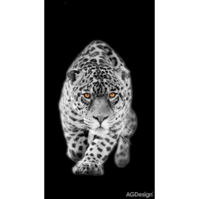 Fotozáclony leopard 140x245cm FCS L 7503 – Zboží Mobilmania